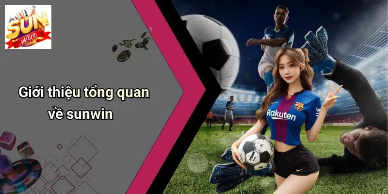 SUN WIN 13 Giới thiệu tổng quan về sunwin